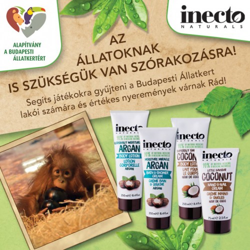 Az állatoknak is szükségük van szórakozásra!