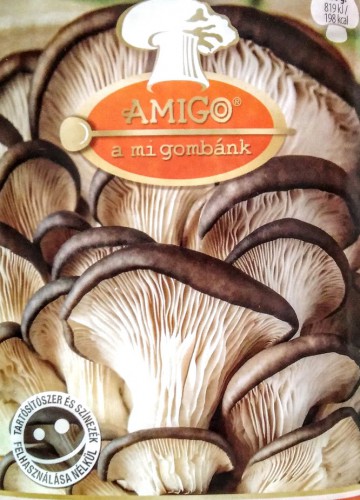 Gombás rántott palacsinta