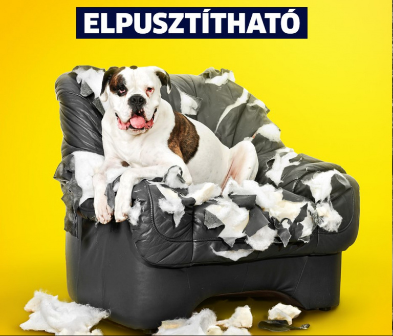 HOGYAN PUSZÍTANÁD EL AZ INDESTRUCTIBLE PRO-T?