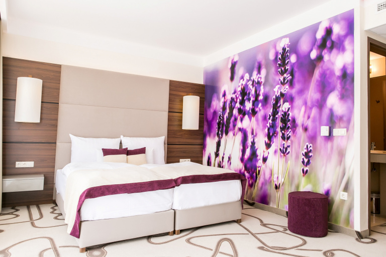 Ambient Hotel & AromaSPA hotel és környéke