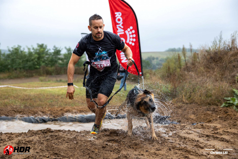 Hard Dog Race