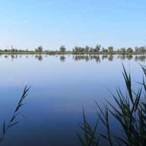 Új vizekre evezett a Szupermenta: horgásztavakat teszteltek