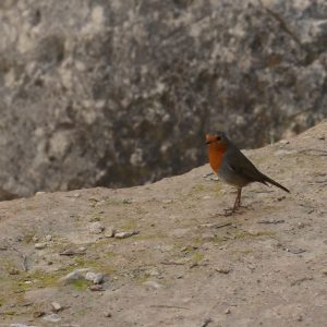 Hama TAR DUO 165 Tri+Mono állvány – extrém terepen, Cipruson próbálva